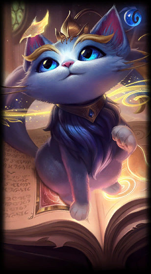 的参赛选手 的参赛选手