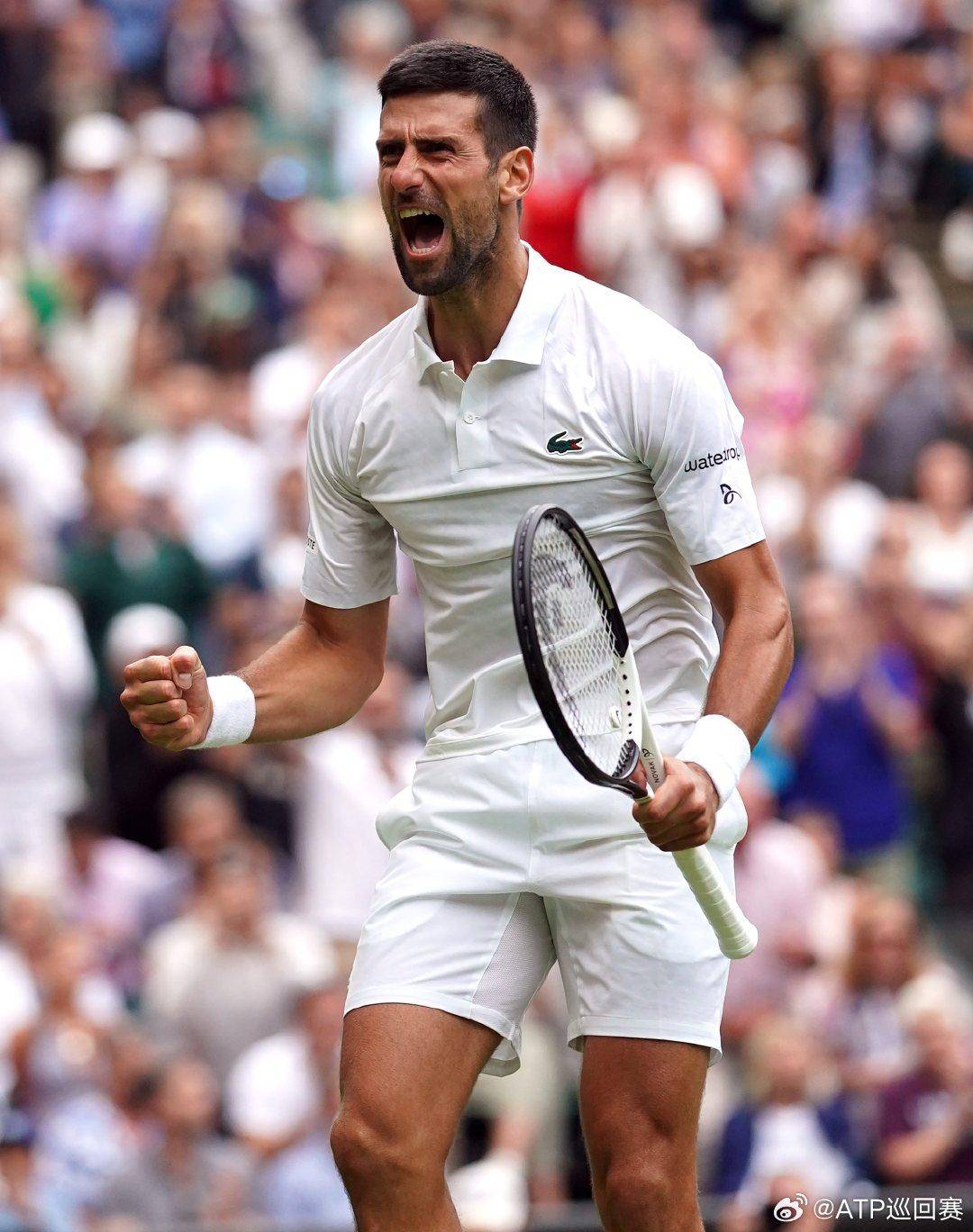 这一次引援 这一次引援