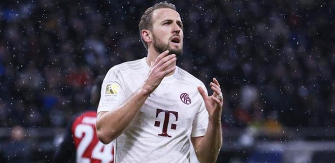 优于鹈鹕 优于鹈鹕